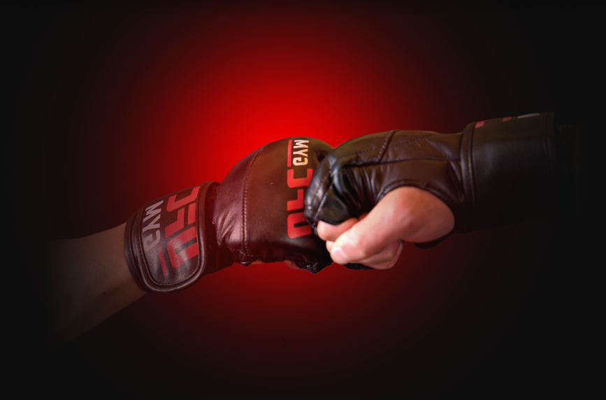 UFC Gym Gloves Fist Bump